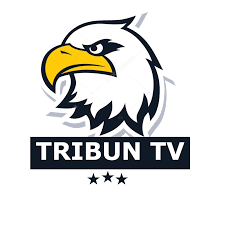 Tribun TV APK icon