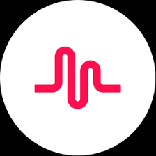 Zhiliaoapp.Musically APK icon